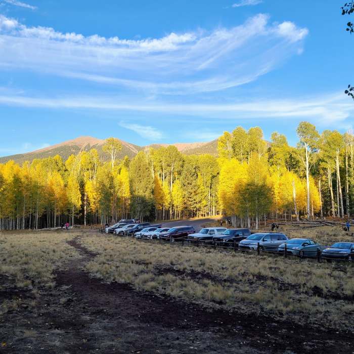 Near High Country Tour to Bismark Lake