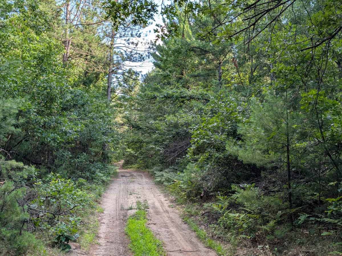 Walker Spur Trail trail photo