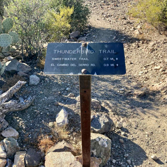 Near Thunderbird Trail