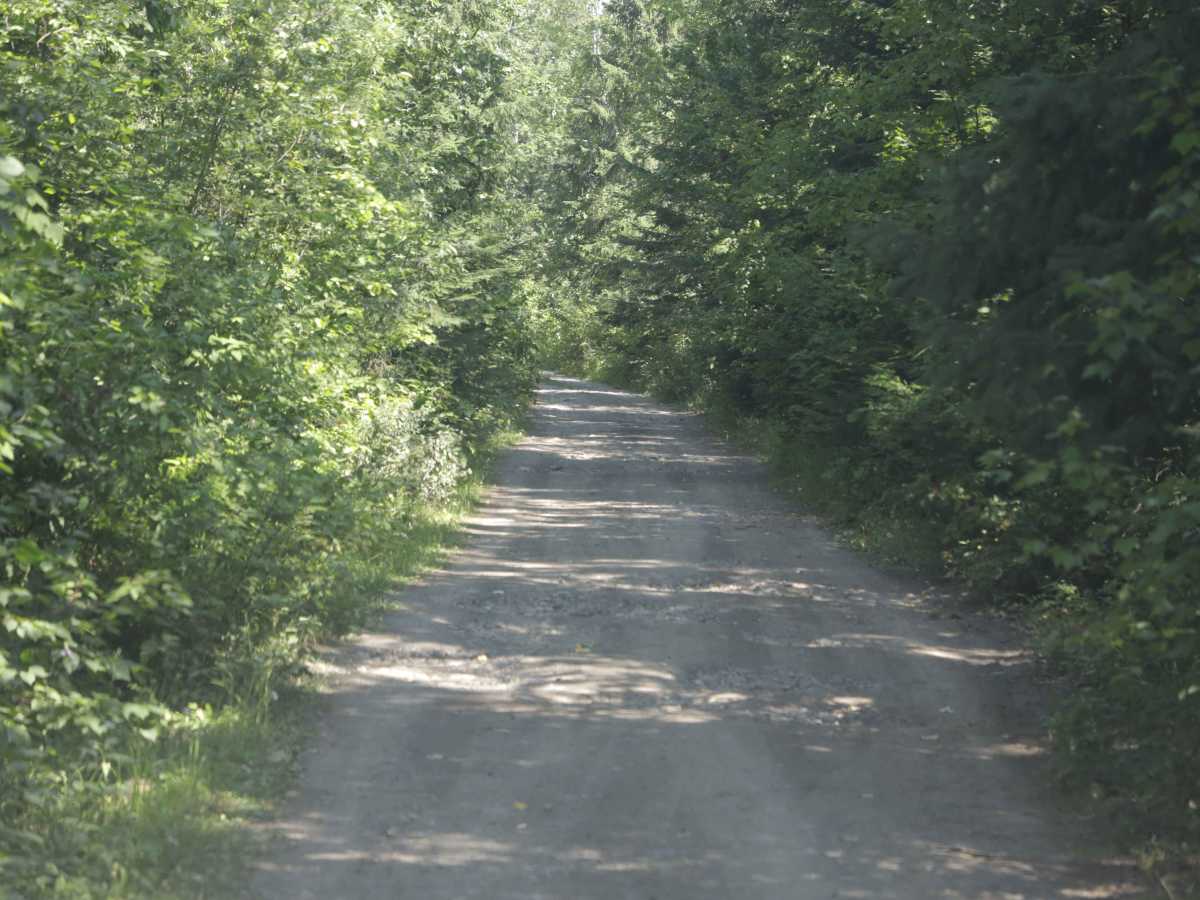 Keynton Lake Trail photo 3