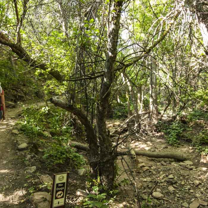 Near McClintock Trail Hike