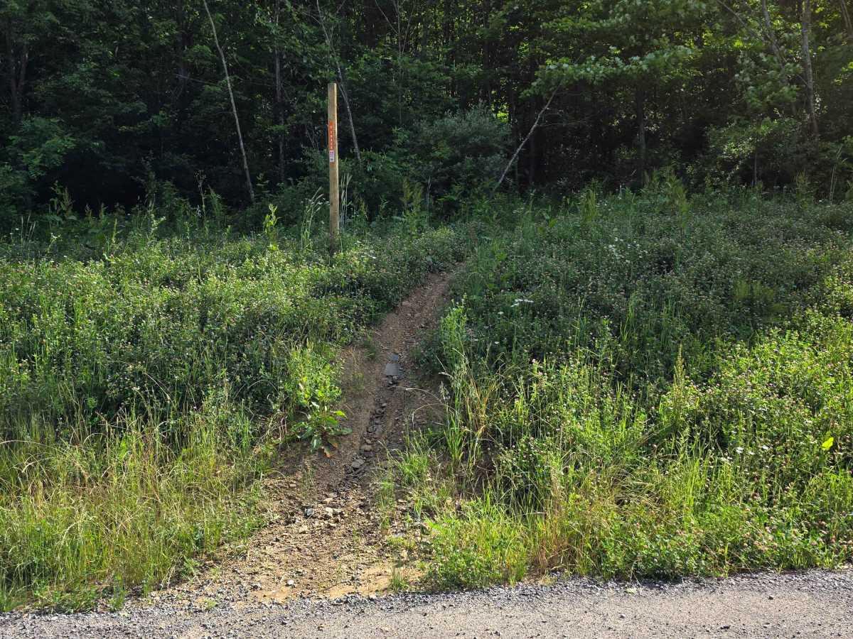 Single Track A photo 2