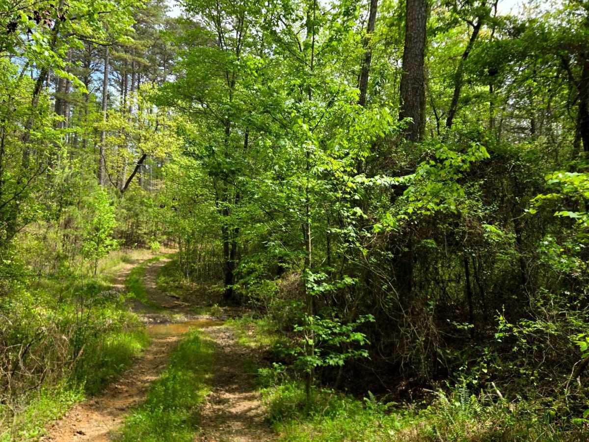 Potato Spur trail photo