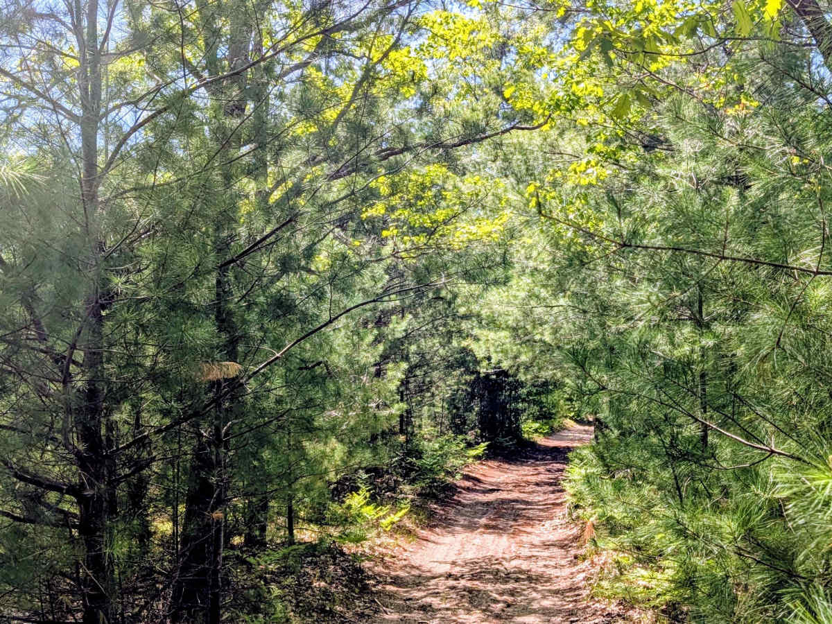 North Misaukee Route (section 6) trail photo