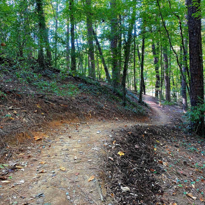 Near Shagbark Loop