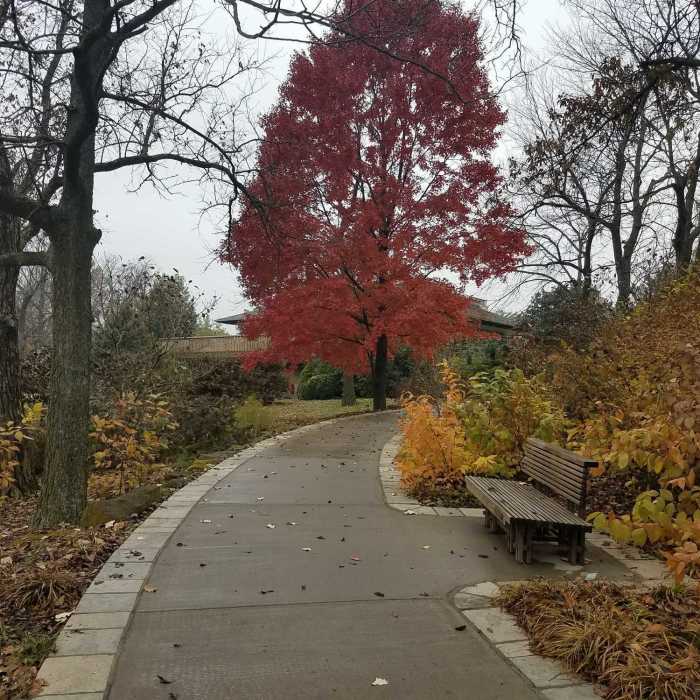 Fall Color in November-Visitor Center at Powell Gardens Near Powell Gardens