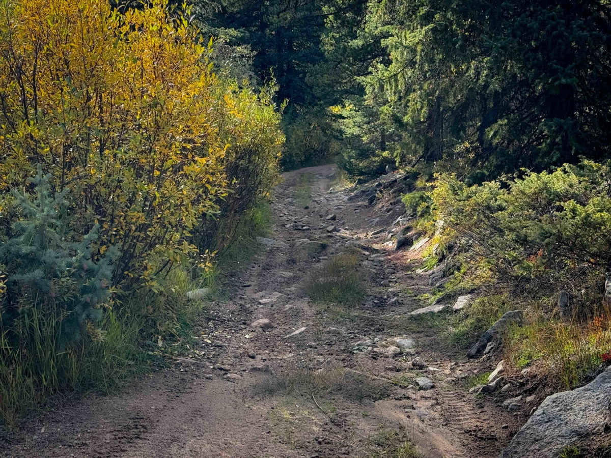 South Quartz Trail - FS 483 photo 5
