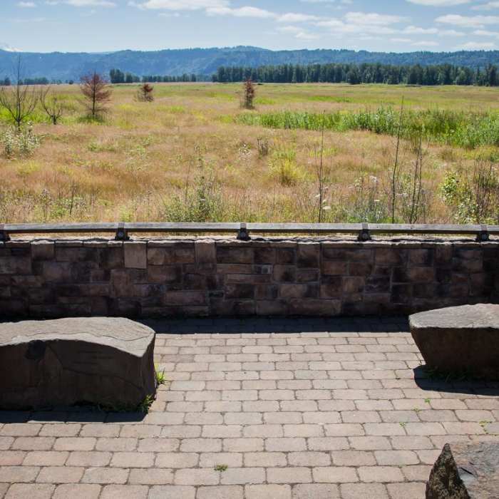 Near Gibbons Creek Wildlife Art Trail