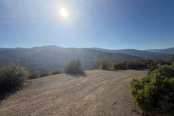 Grindstone Canyon - FS 21N65