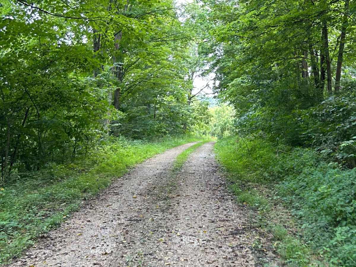 Icehouse Road photo 3