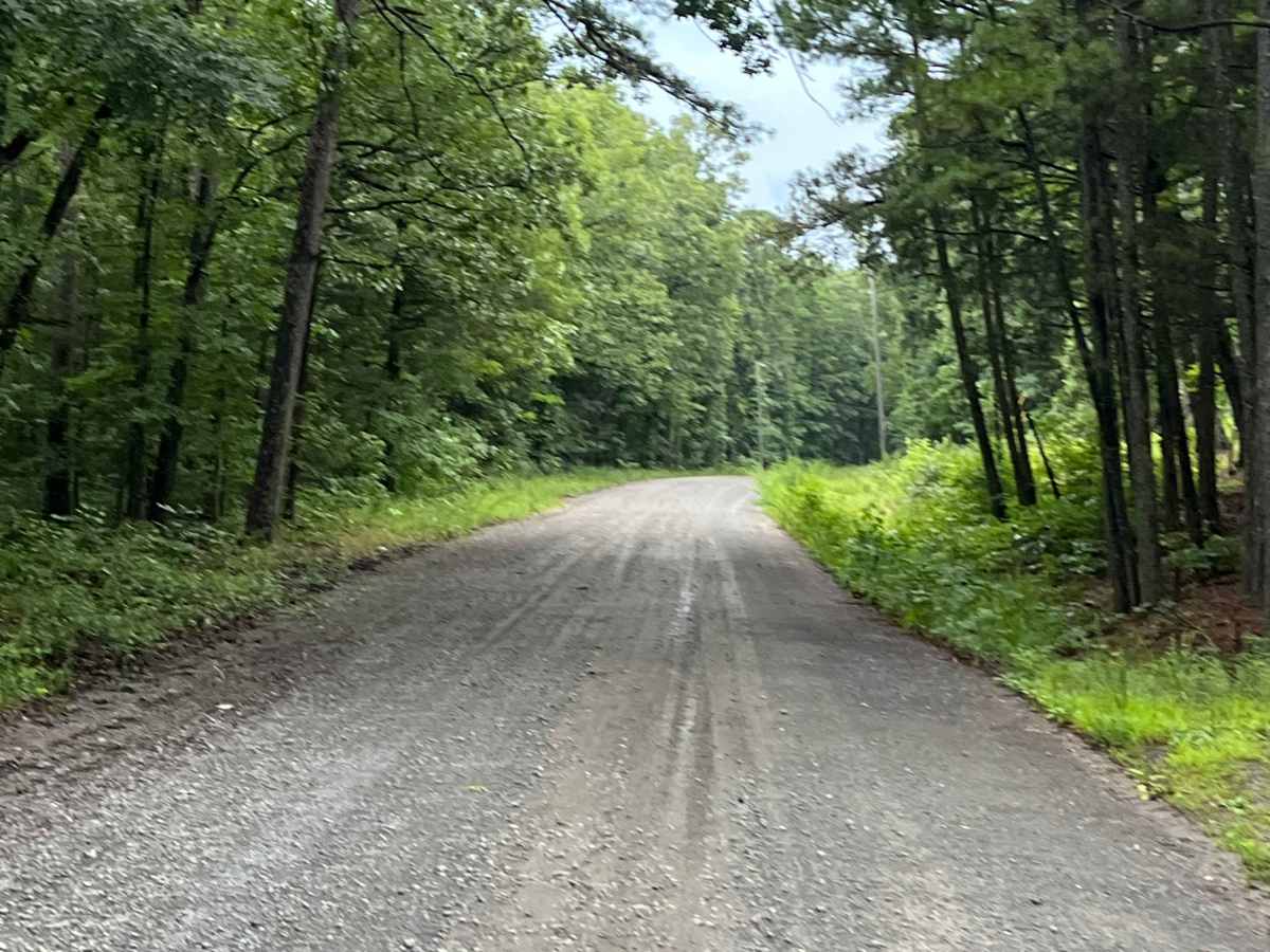 Foresty Road photo 2