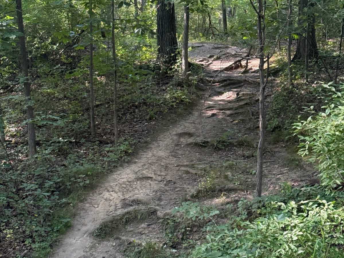 Kelly Trail photo 6