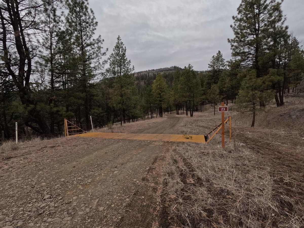 FS 23 East trail photo
