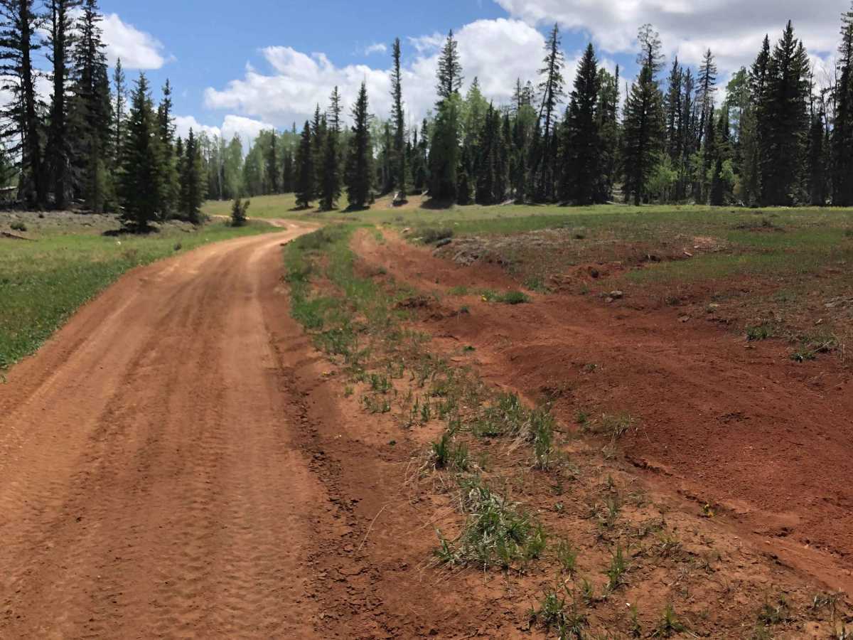Red Desert Road trail photo