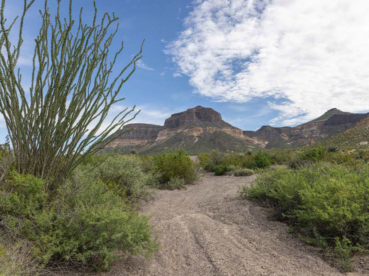 BBRSP - Las Burras Loop photo 3