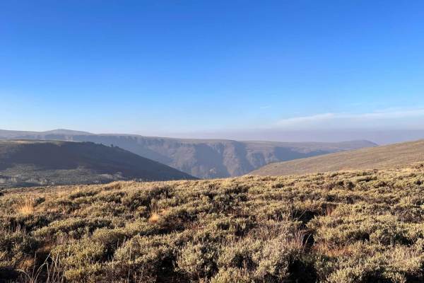 Upper Cold Spring