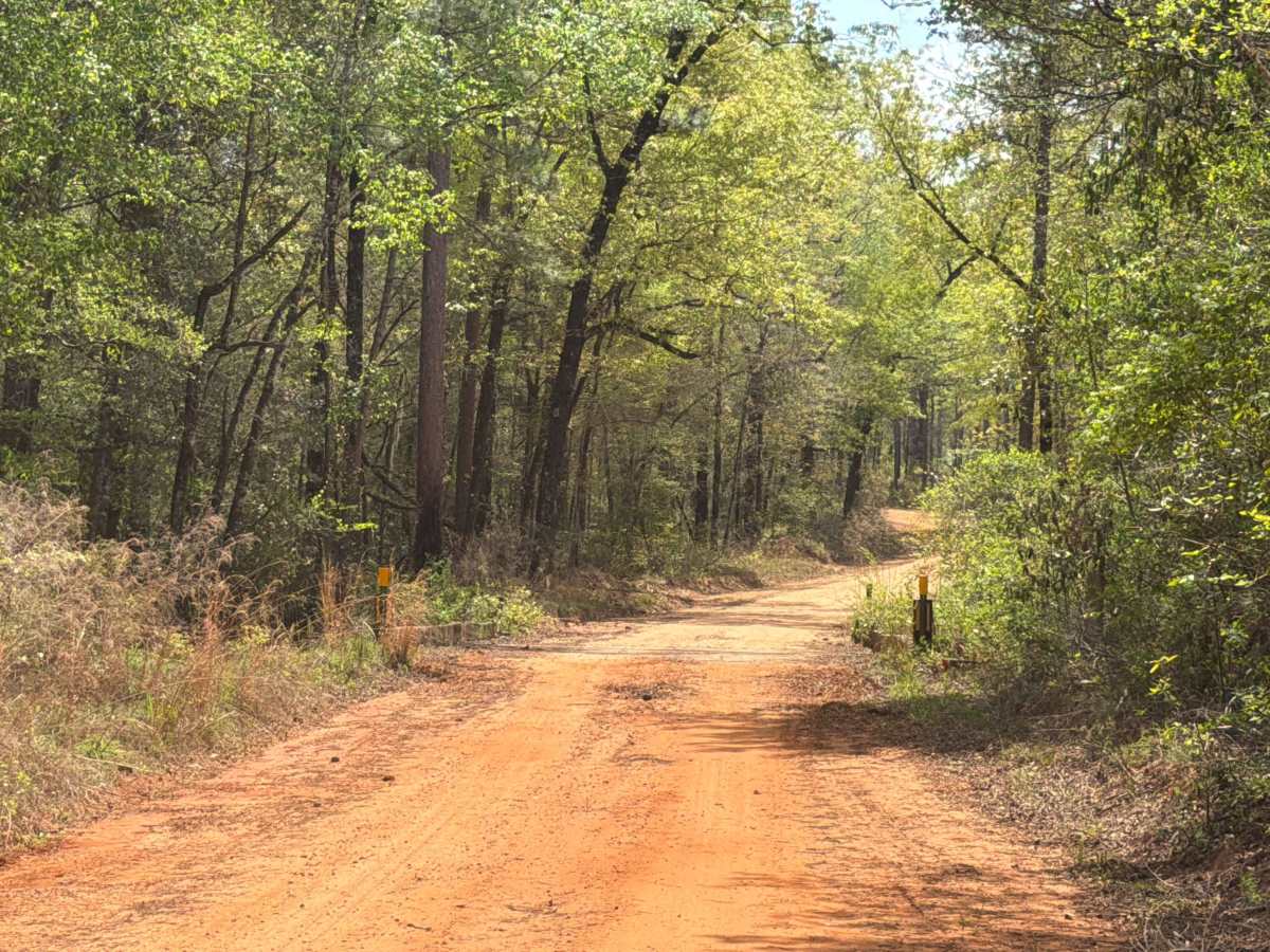 Bullard Church Road photo 2
