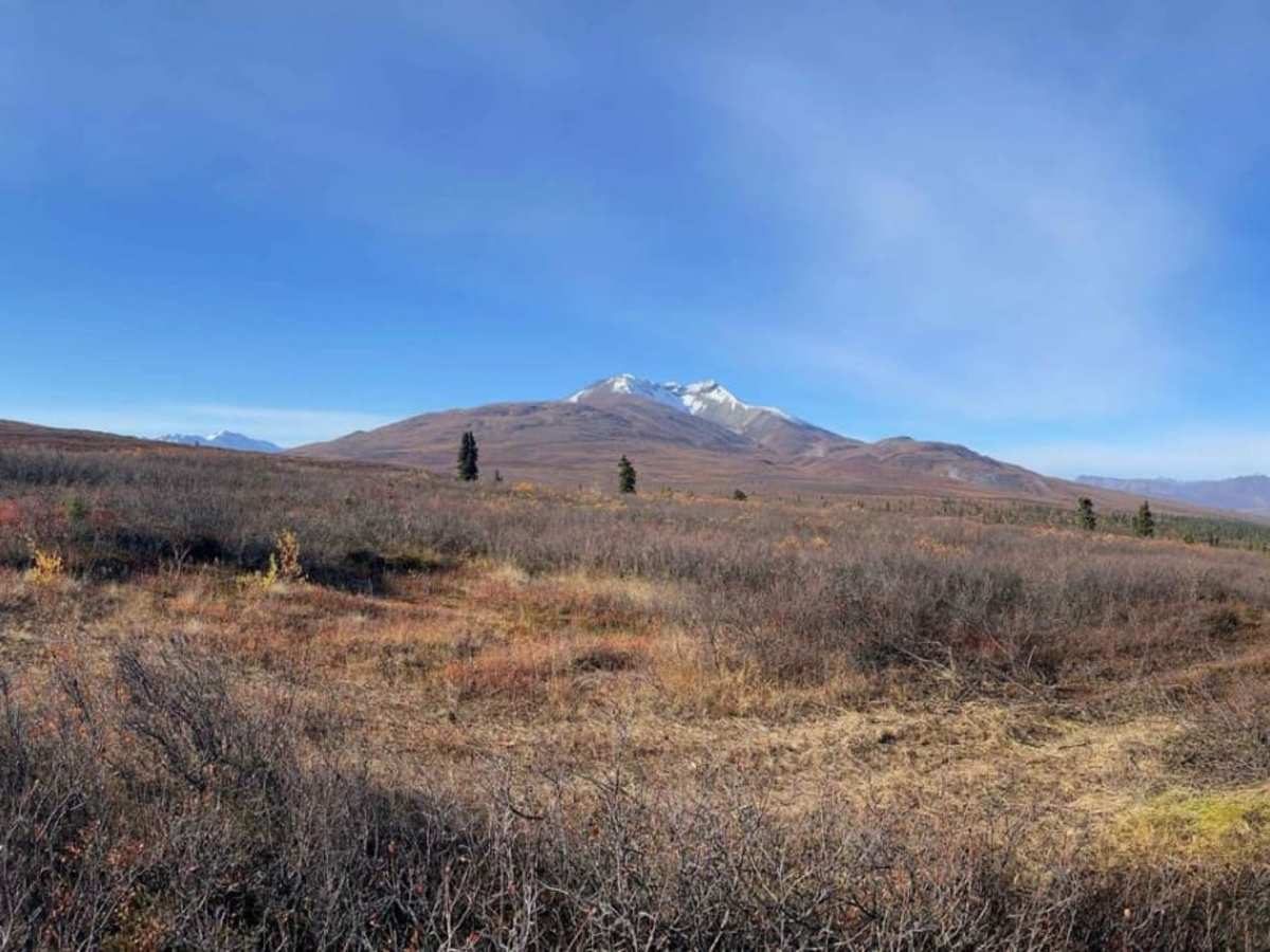 Gunsight Mountain trail photo