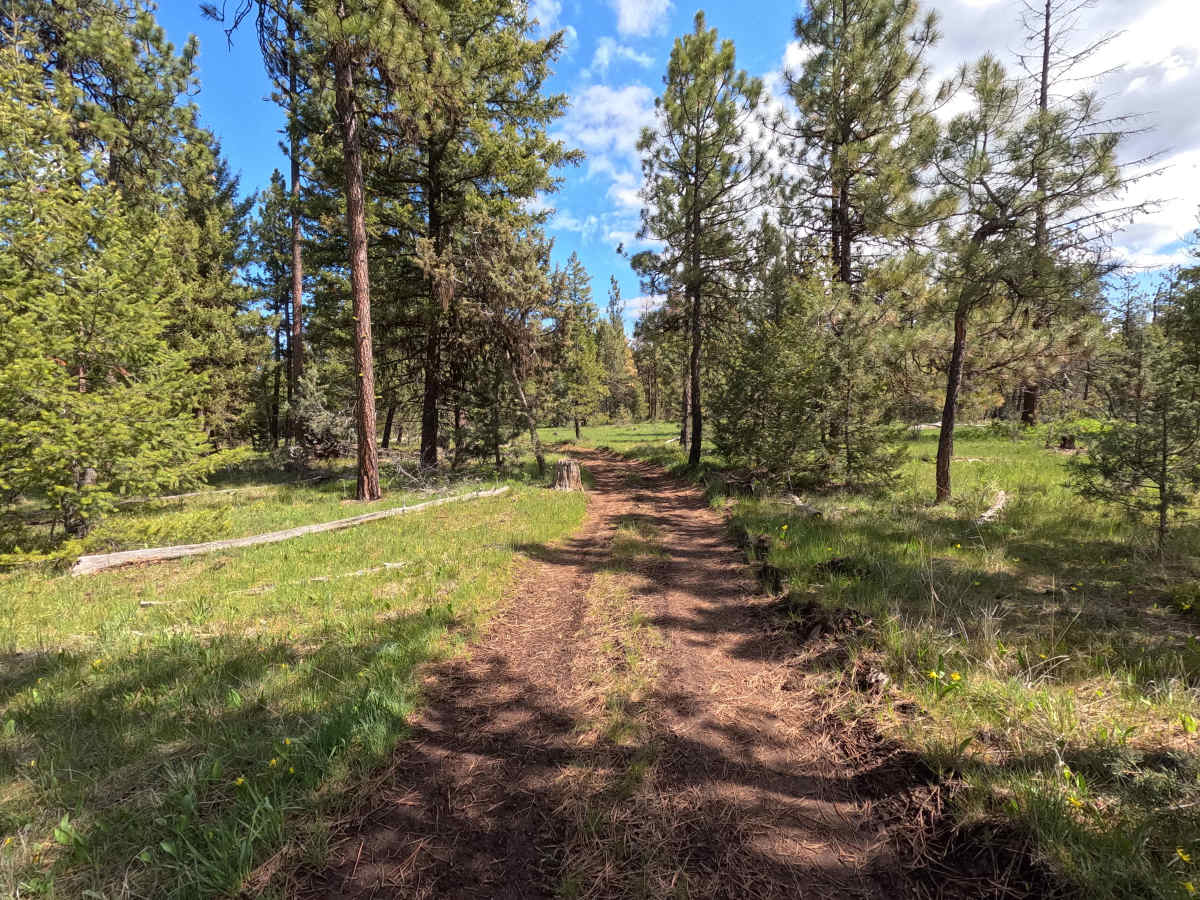 Trail 78 photo 3