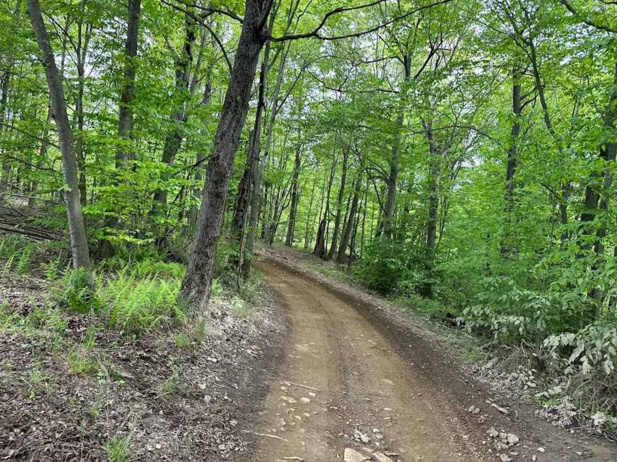 D Green D8 & D10 trail photo