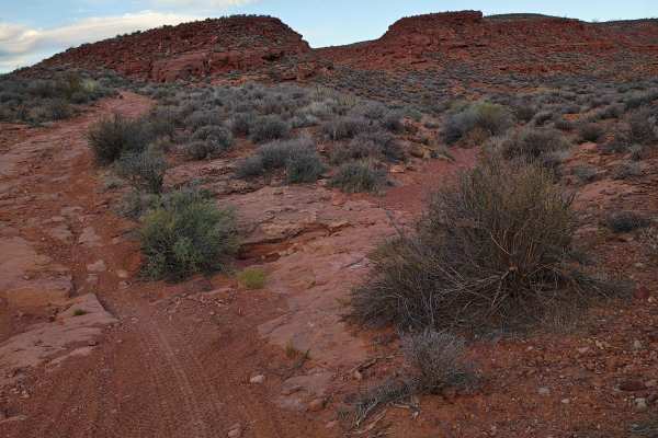 East Rim Little Red - Single Track