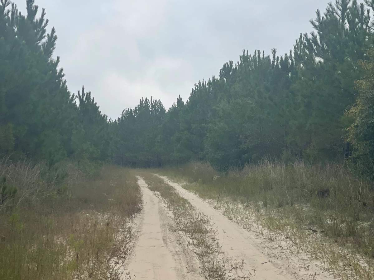 Mingo Road photo 5