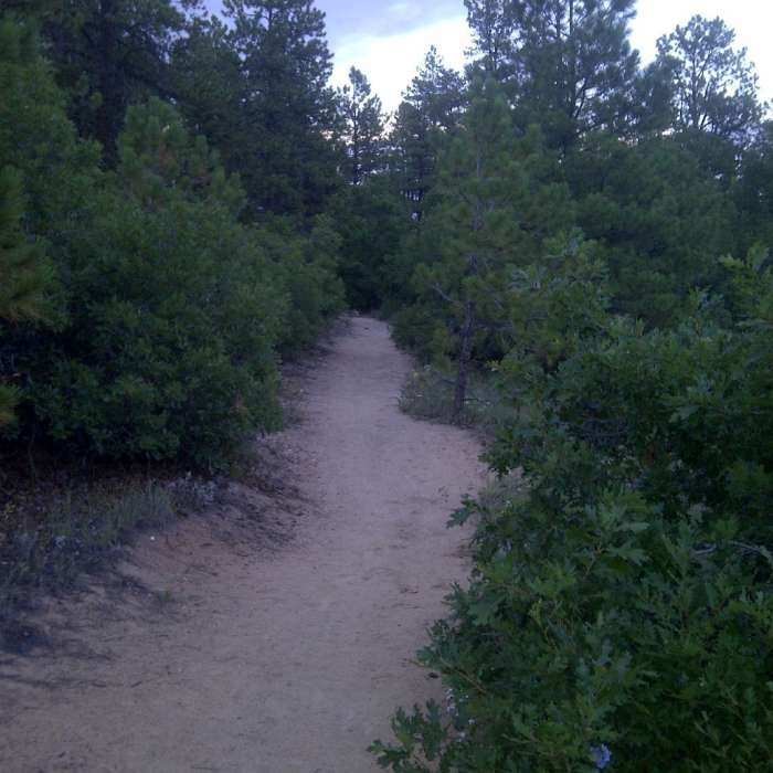 Near Dawson Butte Open Space Trail