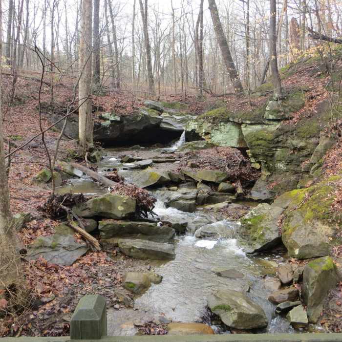 Near Deer Lick Cave Loop Trail