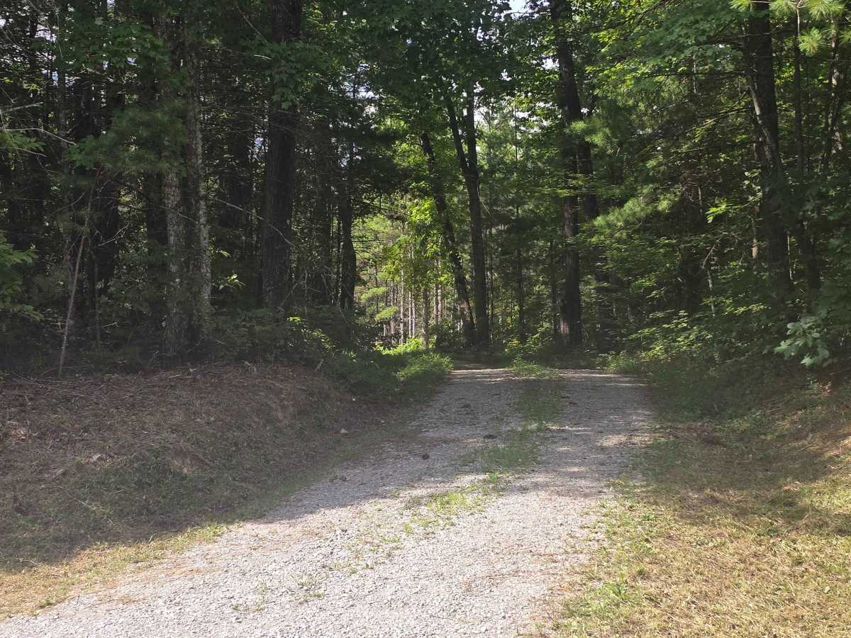 Ridge Road trail photo