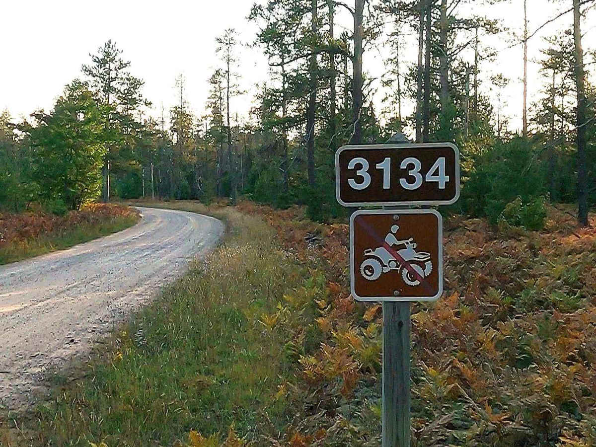 Fish Hatchery Road - FS 3134 trail photo
