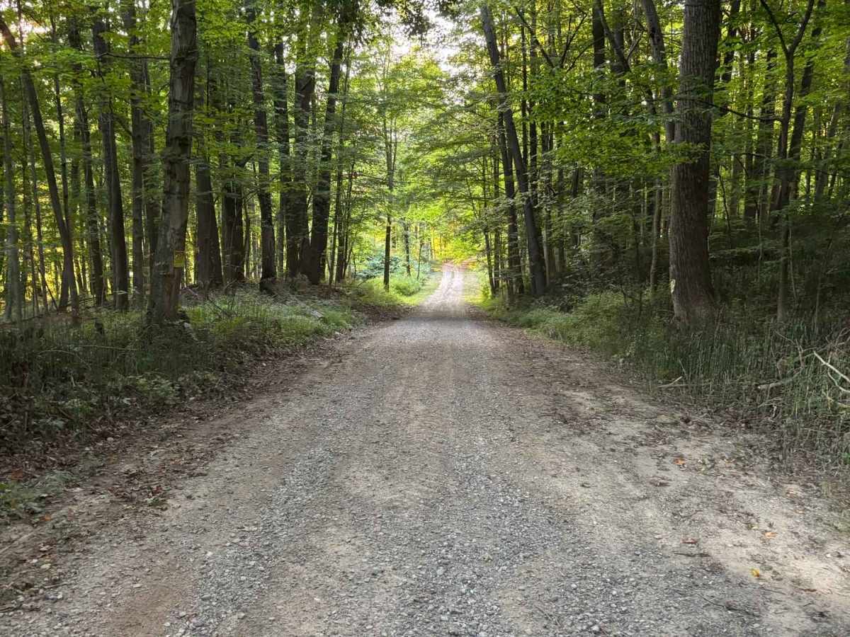 Totsline Road photo 4