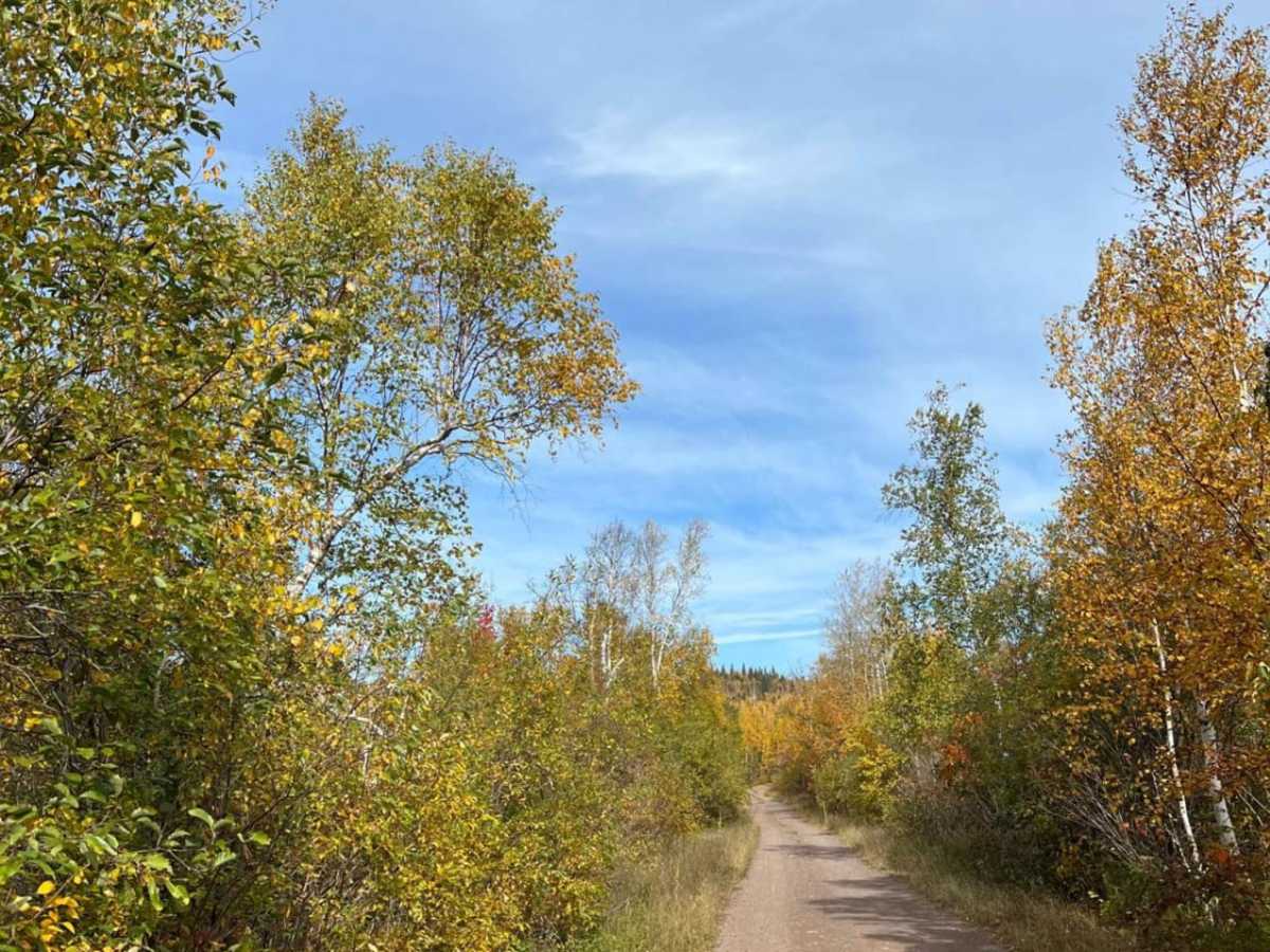Temperance River Backroad Scenic Drive photo 3