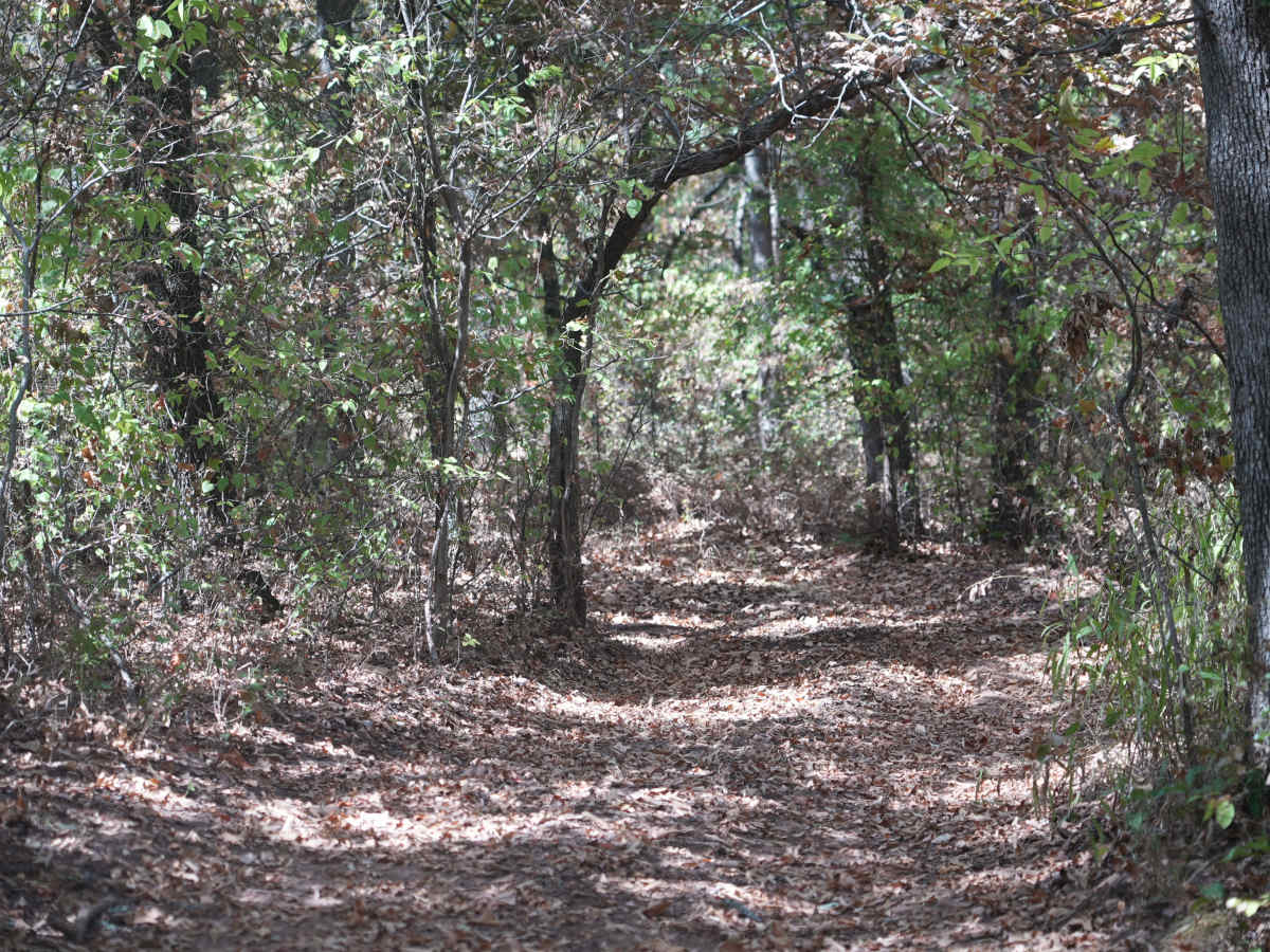 Blue 28 trail photo