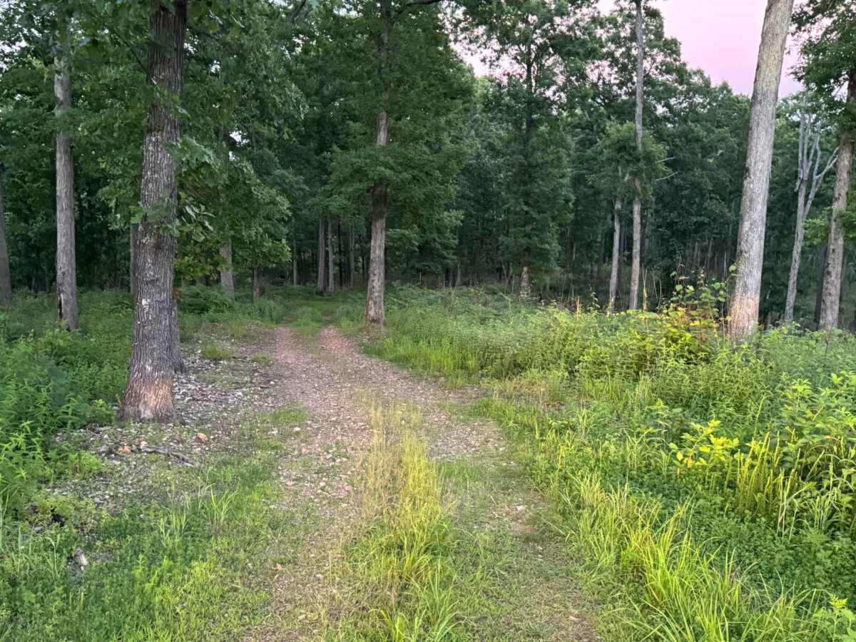 Glade 1112C photo 4