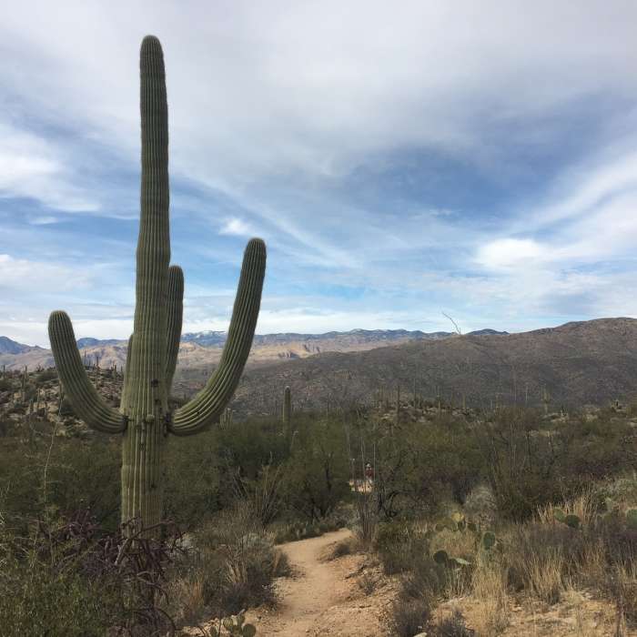 Near Wildhorse to Douglas Springs Loop