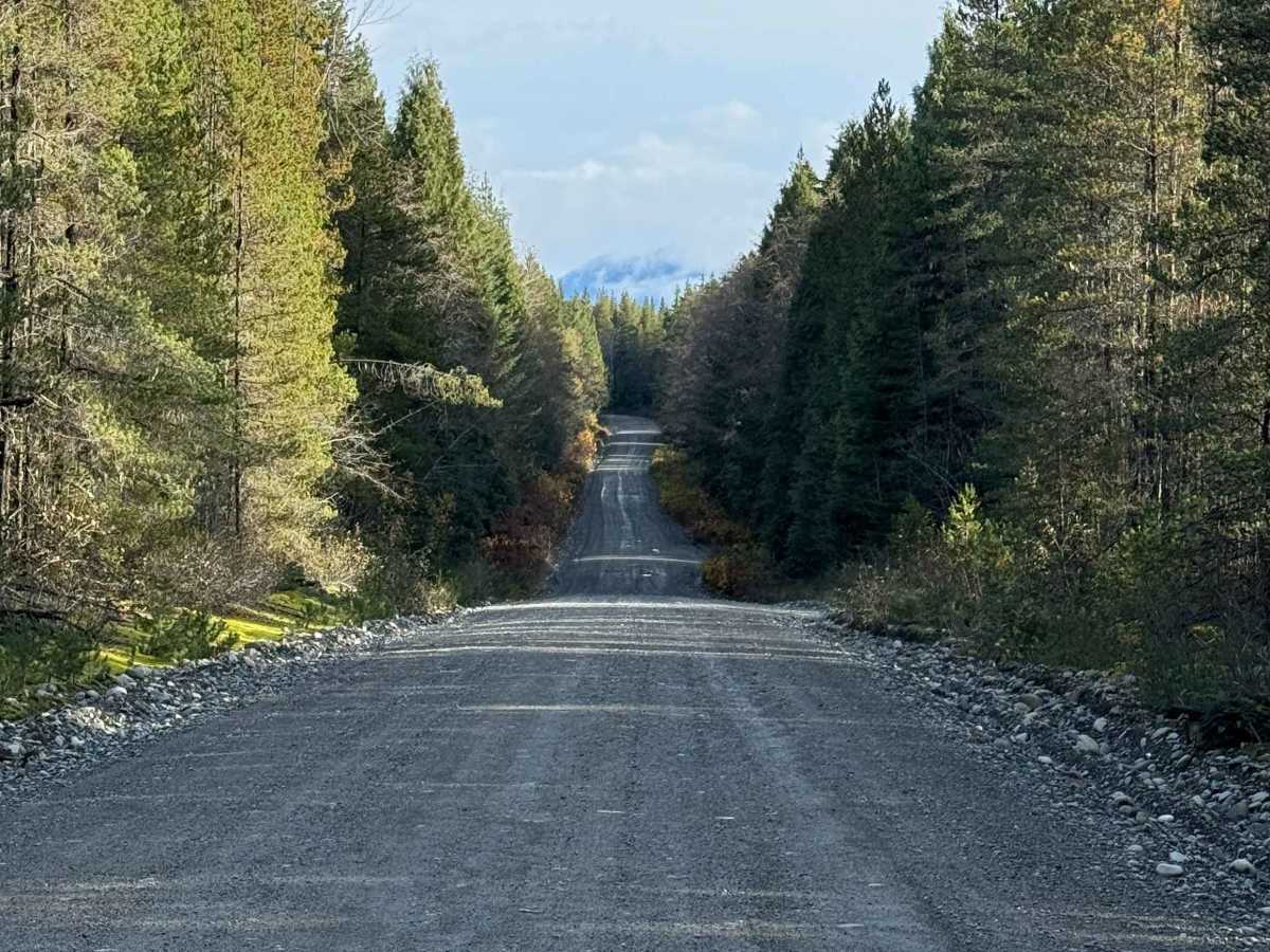 West Kalum Forest Service Road trail photo