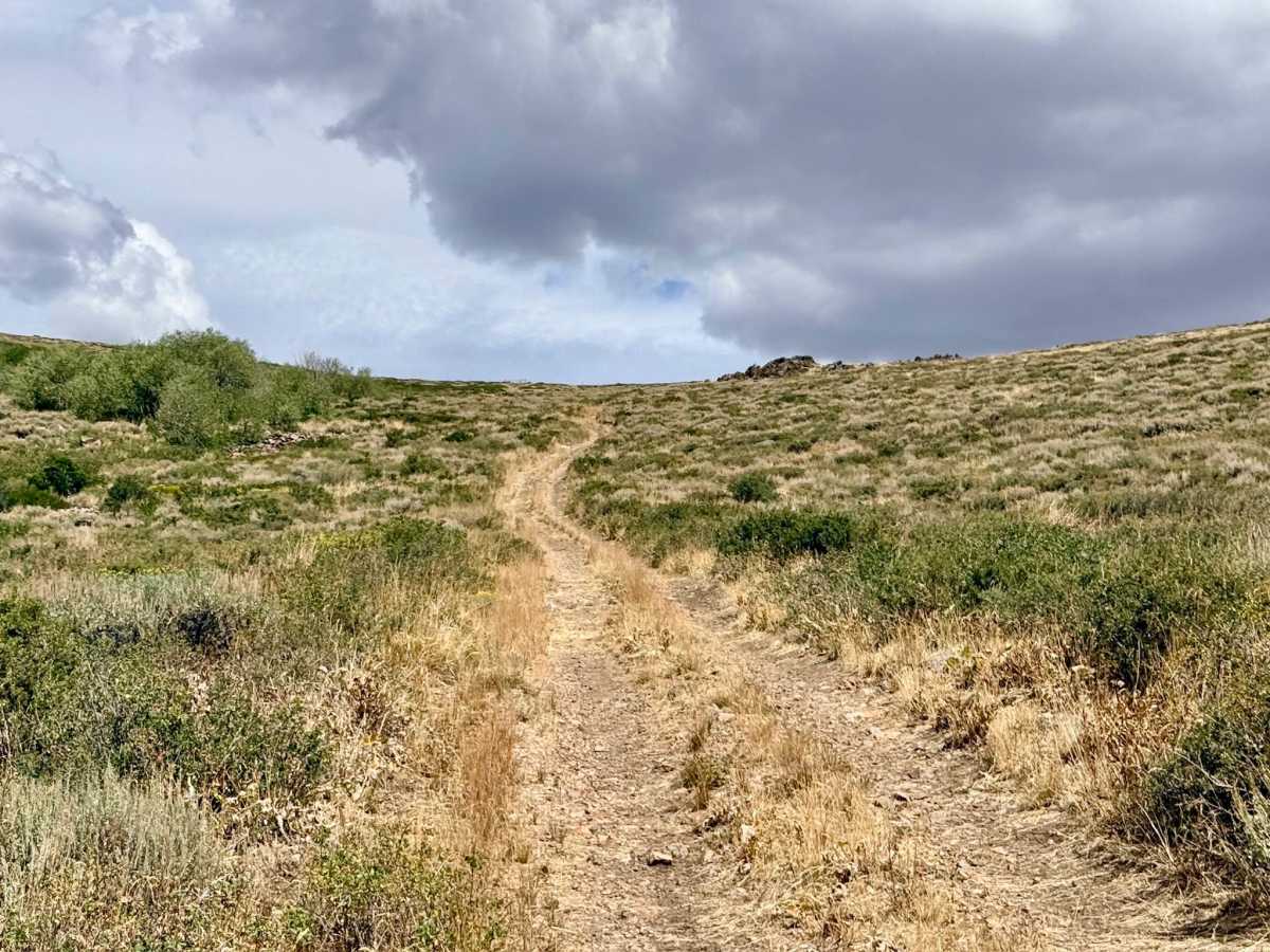 North Fork Pratt Extension - FS 56158B photo 3
