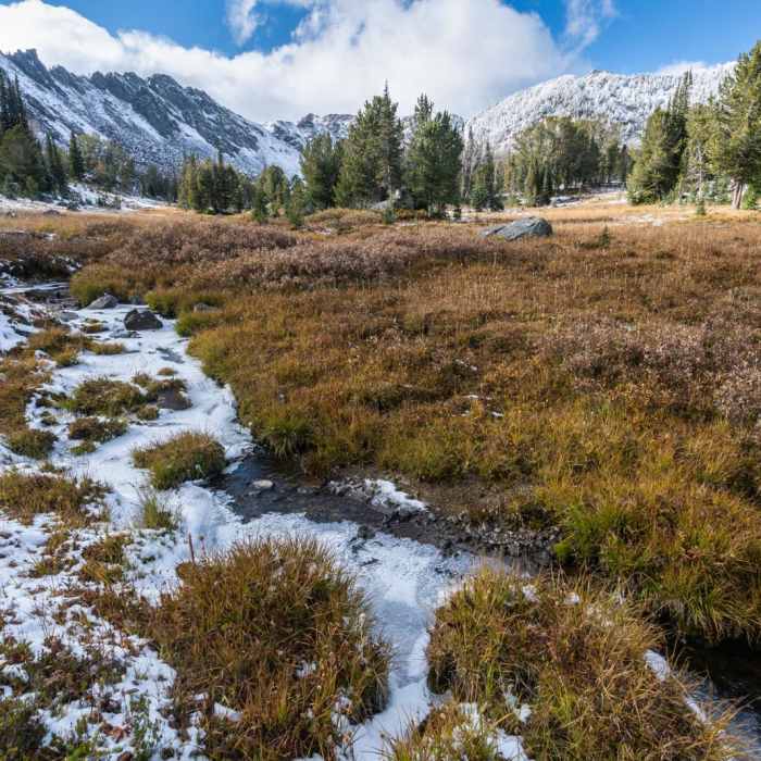 Near Leggat Mountain