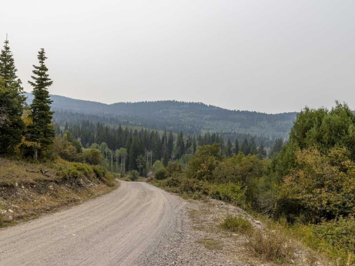 Willow Creek Road trail photo