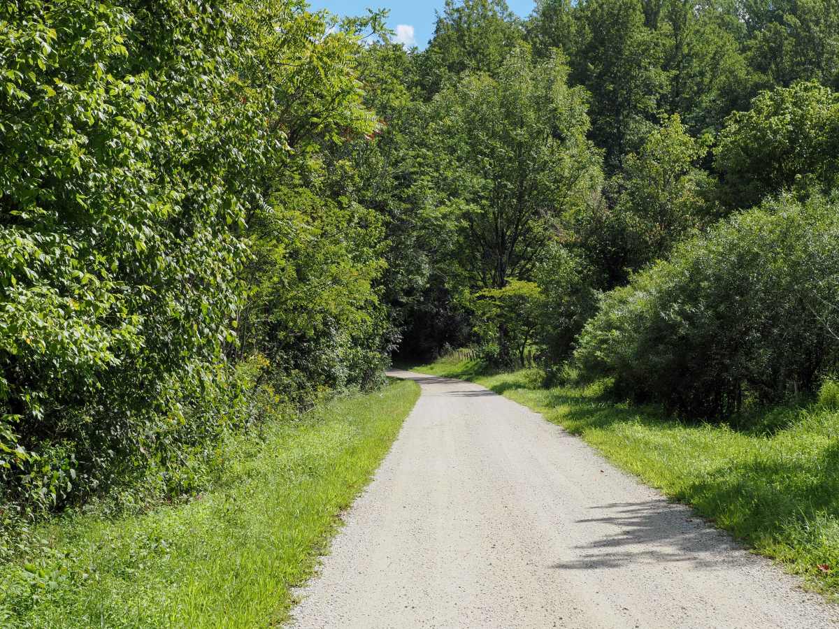 Mount Horeb Road photo 2