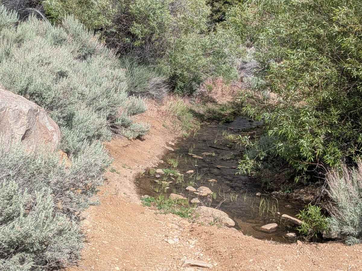 BLM SE741 photo 3