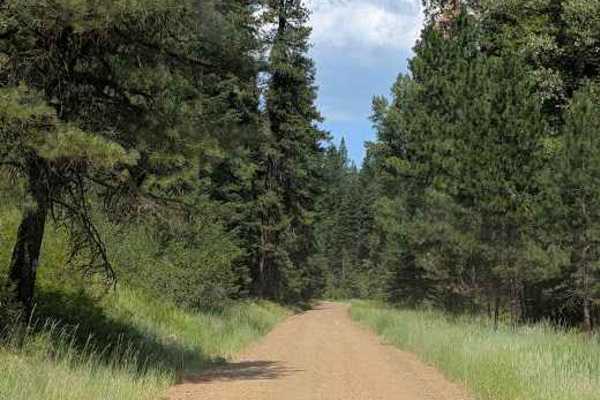 Iron Creek - FS 9714