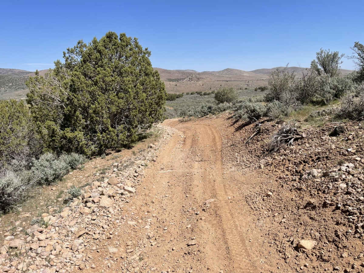 Cow Creek photo 4