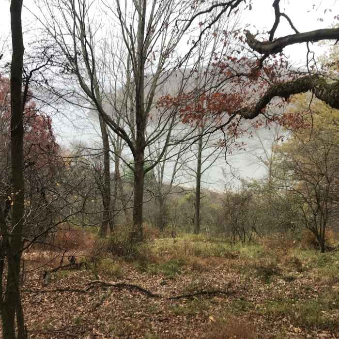 Near Morrison and Rimrock Trails