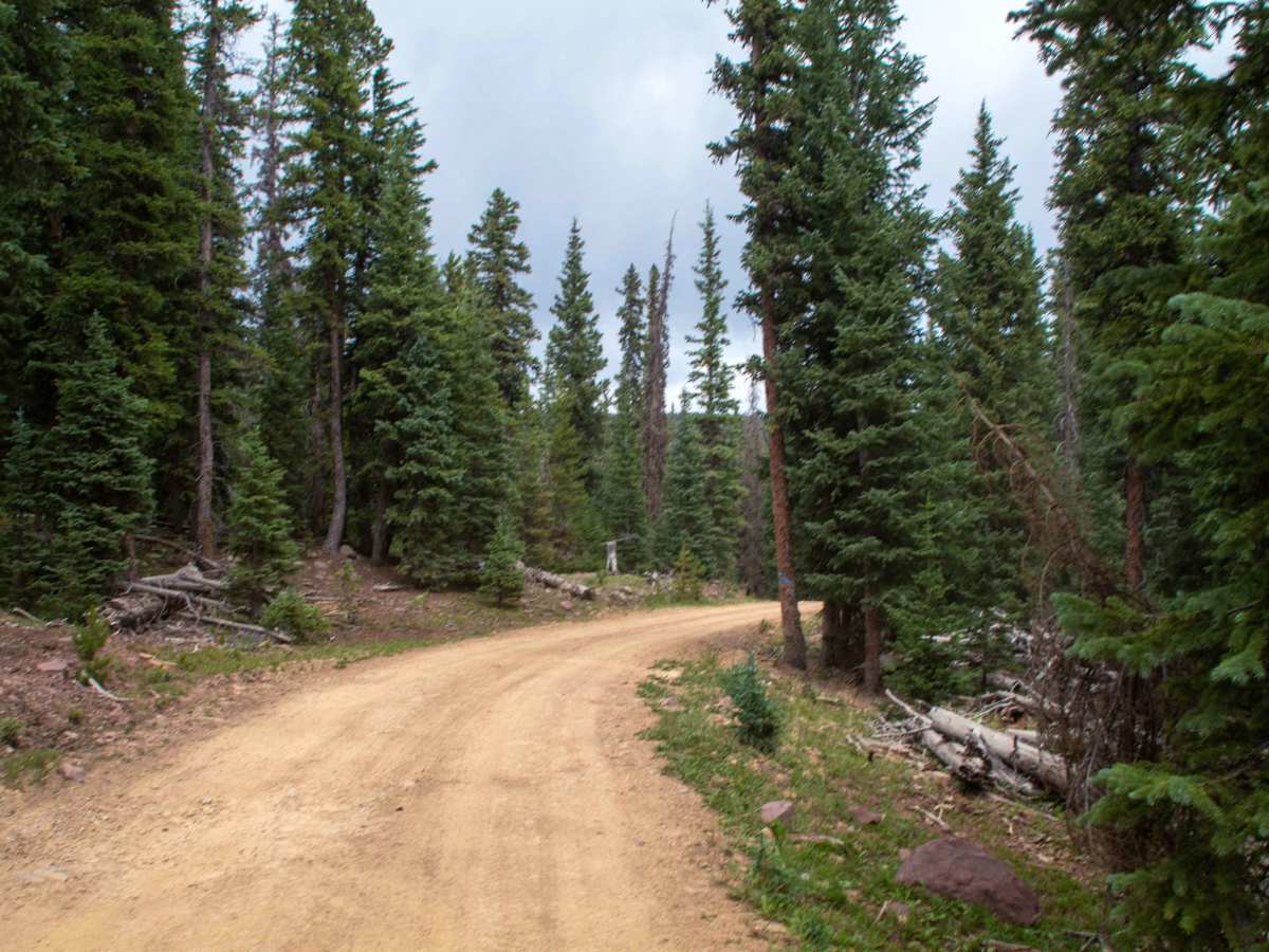 Paradise Park Reservoir Access - FS 10752 photo 5