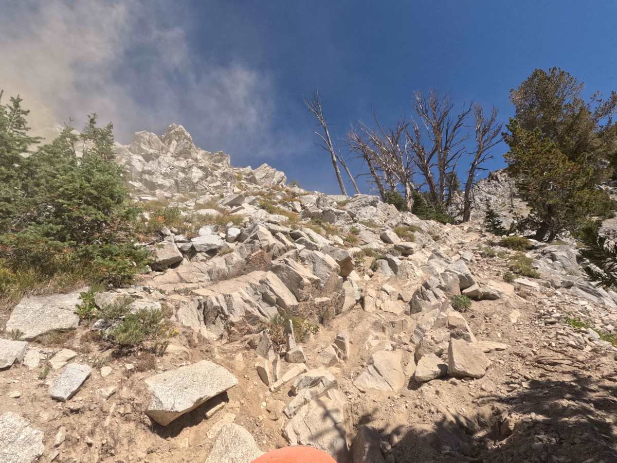 Bass Creek - FS 7061 photo 2
