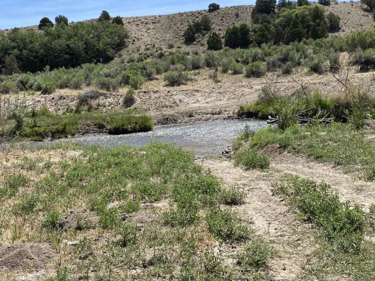 Maple Springs Trail photo 6