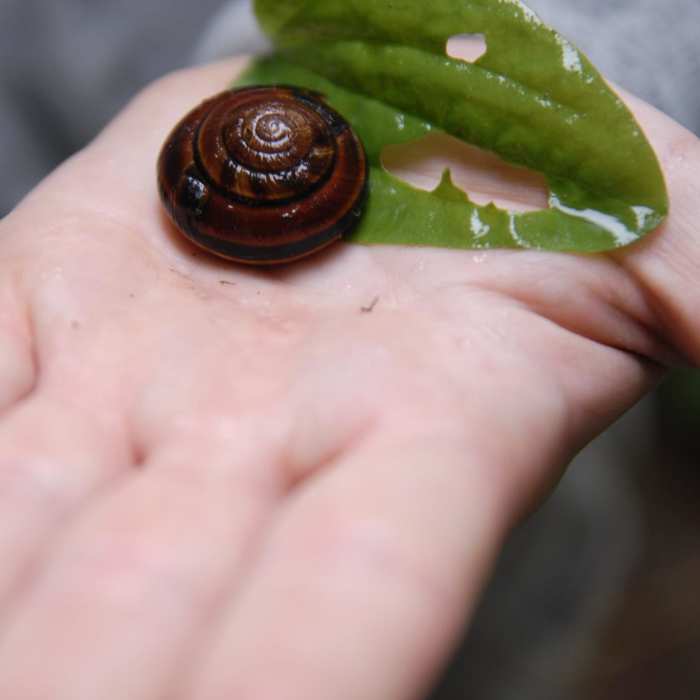 Near Latourell Falls