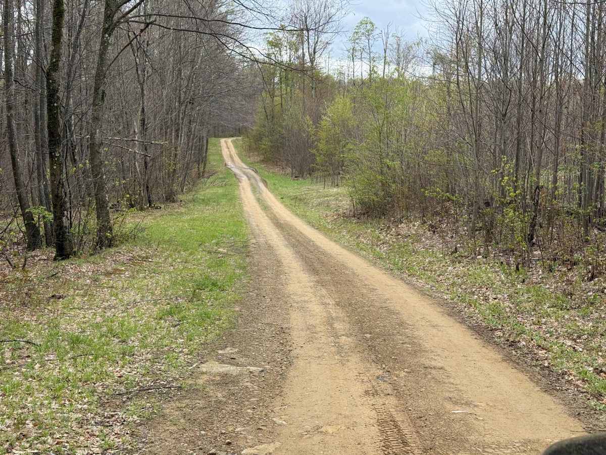 Hermit Springs - FS 114 photo 4