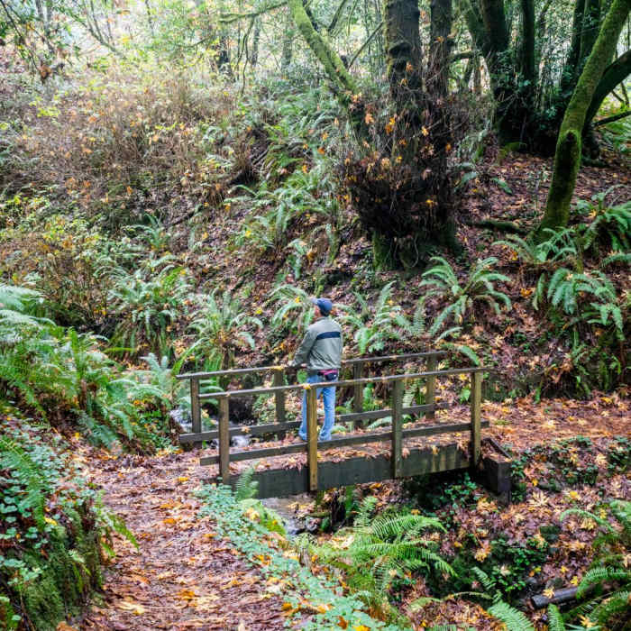 Near Riverview Trail